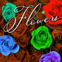 drewtothemusic - Flowers