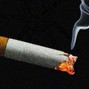 ALEIN - WHOLEY$MOKE$