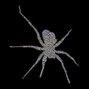 ALEIN - ARACHNOPHOBIA
