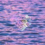 D E I T Y - ULTRAVIOLET