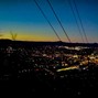 Local Loser - cold nights