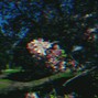 Local Loser - cry with me
