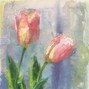 goob - glaive X ericdoa X Hyperpop Type Beat - "Tulips"