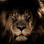 Starscream the Giant - Lion