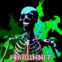 14KRUNNIT
