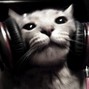 dat - fearless
