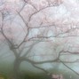 gxthluv - spring mental 