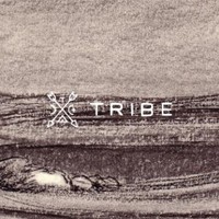 Tribe