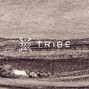Tribe - Aroma