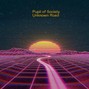 Pupil of Society - Unknown Road
