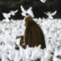 vellvit messiah - chanel pearls