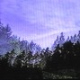 biocide - VÄRE