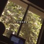 NEROSE - steady