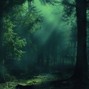 Romvesen - finland 