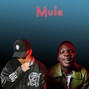 beatsbysanelulee - Blxckie x A-Reece type beat | Mula