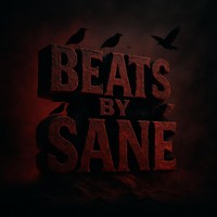 beatsbysanelulee