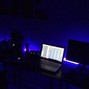 Cameron D - Wntr