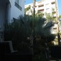 cyes - geniue 