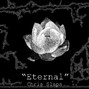 Chris Slaps - Eternal