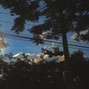 wish - Endnote