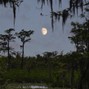 curien - 313 Mafia + HappyDranker + 50droppin Type Beat "Swampy Creek" | Curien