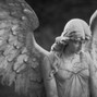 ✰✰✰PHOENIX HAVEN✰✰✰ - ANGELS ARP***