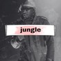heroesdiefirst - JUNGLE - Dark freestyle type beat - Future type beat