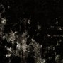 Prod. Void - FALACY