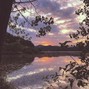 Ghost _b - Spring