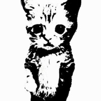 Lilpossumcooker