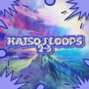 Haiso_J - Haiso J Loops Vol 2-3