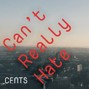 CFNTS - Can't Really Hate