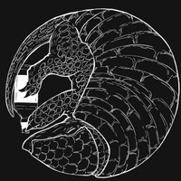 Armadillo