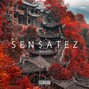 Sen$atez - The last year poor