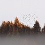 RamiSonTrax - Young Dolph Type Beat "Autumn Wings" 