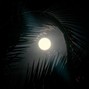 Dominikyrn - summerlove