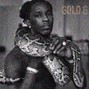 GOld G Beats - snakeskin
