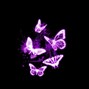 9ianni - butterflies - 138 - Fmin