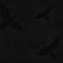KR - BIRDS