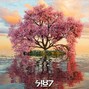 7187 - Drown