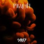 7187 - Pigment