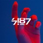 7187 - Tulip