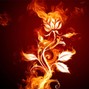 Zarth On The Track - Fire