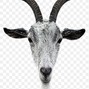 Booger Beats - Goat talk