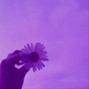 proddenary - Kali Uchis x H.E.R. type beat 'blossom' fmaj
