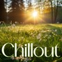 BobbyColeMusic - Futuristic Melodic Circuit Full