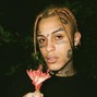 Polaroi - Scorpio