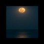 denBamber - Moonlight