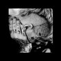 denBamber - No Answer