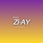Zi-AY -  Vast
